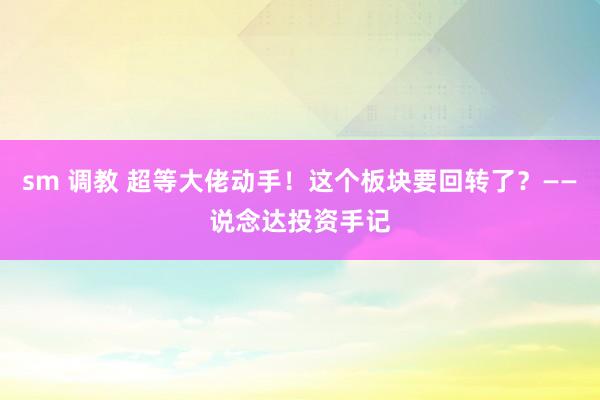 sm 调教 超等大佬动手！这个板块要回转了？——说念达投资手记