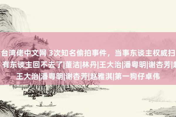 台湾佬中文网 3次知名偷拍事件，当事东谈主权威扫地，如今结局悬殊，有东谈主回不去了|董洁|林丹|王大治|潘粤明|谢杏芳|赵雅淇|第一狗仔卓伟