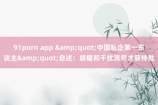 91porn app &quot;中国私企第一东谈主&quot;自述：胡耀邦干扰派司才获特批